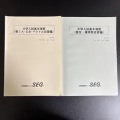 2026年最新】seg テキストの人気アイテム - メルカリ