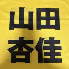 2026年最新】山田杏 ビブスの人気アイテム - メルカリ