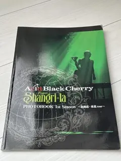 2026年最新】CHERRY写真集 ACIDの人気アイテム - メルカリ