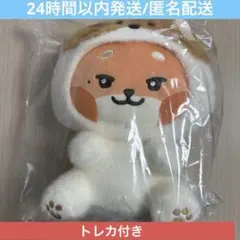 2026年最新】zeroni ぬいぐるみ テュニニの人気アイテム - メルカリ