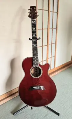 2026年最新】takamine nptの人気アイテム - メルカリ