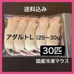 2026年最新】冷凍マウスの人気アイテム - メルカリ