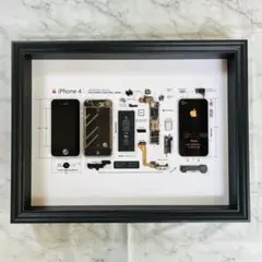 2026年最新】iPhone 標本アートの人気アイテム - メルカリ