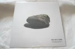 2026年最新】家主 lpの人気アイテム - メルカリ