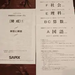 2026年最新】サピックスオープンの人気アイテム - メルカリ