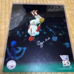 2026年最新】オジースミスの人気アイテム - メルカリ