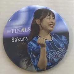 2026年最新】diana ベイスターズ finalsの人気アイテム - メルカリ