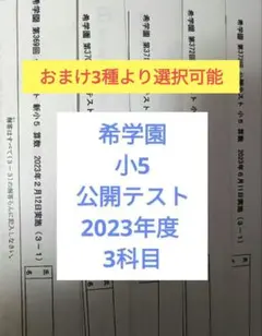 2026年最新】希学園 公開テスト 小5の人気アイテム - メルカリ