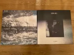 2026年最新】luna sea slave限定crossの人気アイテム - メルカリ