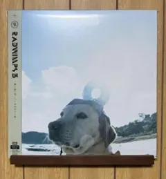 2026年最新】RADWIMPS レコードの人気アイテム - メルカリ