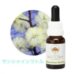 2026年最新】オーストラリアンブッシュの人気アイテム - メルカリ