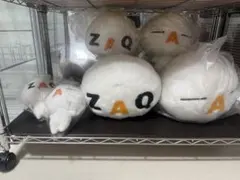 2026年最新】ざっくぅ ぬいぐるみの人気アイテム - メルカリ