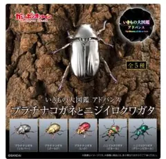 2026年最新】プラチナコガネの人気アイテム - メルカリ