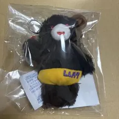 2026年最新】瀬戸内C聴の人気アイテム - メルカリ