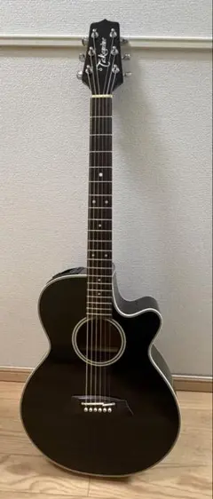2026年最新】takamine pt 106の人気アイテム - メルカリ