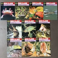 2026年最新】朝日百科 動物の人気アイテム - メルカリ