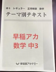 2026年最新】早稲アカ 正月特訓の人気アイテム - メルカリ