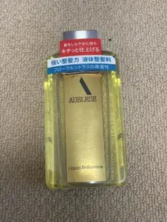 2026年最新】資生堂 アウスレーゼ ブリランチンN ＿の人気アイテム