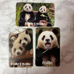 2026年最新】Fubaoの人気アイテム - メルカリ