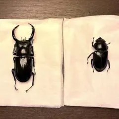 2026年最新】ウエストウッディ 標本の人気アイテム - メルカリ