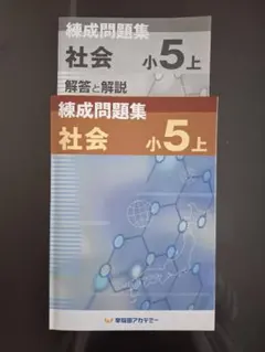 2026年最新】早稲アカ 錬成 小5の人気アイテム - メルカリ