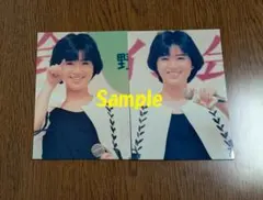 2026年最新】酒井法子 生写真の人気アイテム - メルカリ