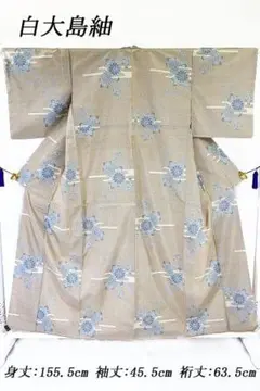2026年最新】白大島紬 9マルキの人気アイテム - メルカリ