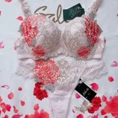 2026年最新】サルート49の人気アイテム - メルカリ