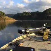 けんぞう様専用】FCLLABO FCB60jigベイト - メルカリ