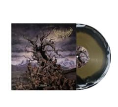 旧ロゴ】Vulvodynia 2nd CD【廃盤】