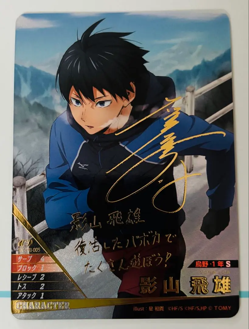 m41233186335_1.jpg?1765060811