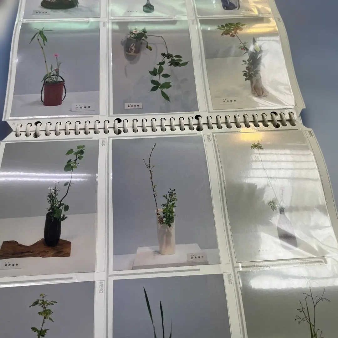 2026年最新】山村御流の人気アイテム - メルカリ