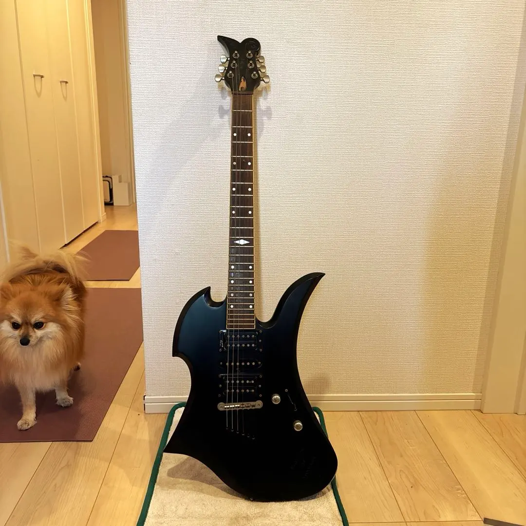 2026年最新】モッキンバード ミニギターの人気アイテム - メルカリ