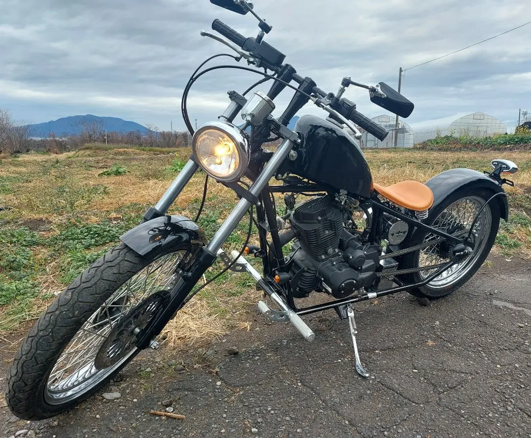 2026年最新】ヘイスト250 エンジンの人気アイテム - メルカリ