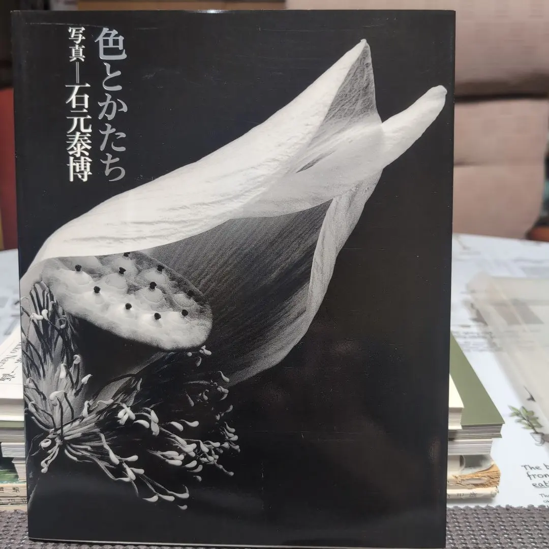 2026年最新】石元泰博の人気アイテム - メルカリ