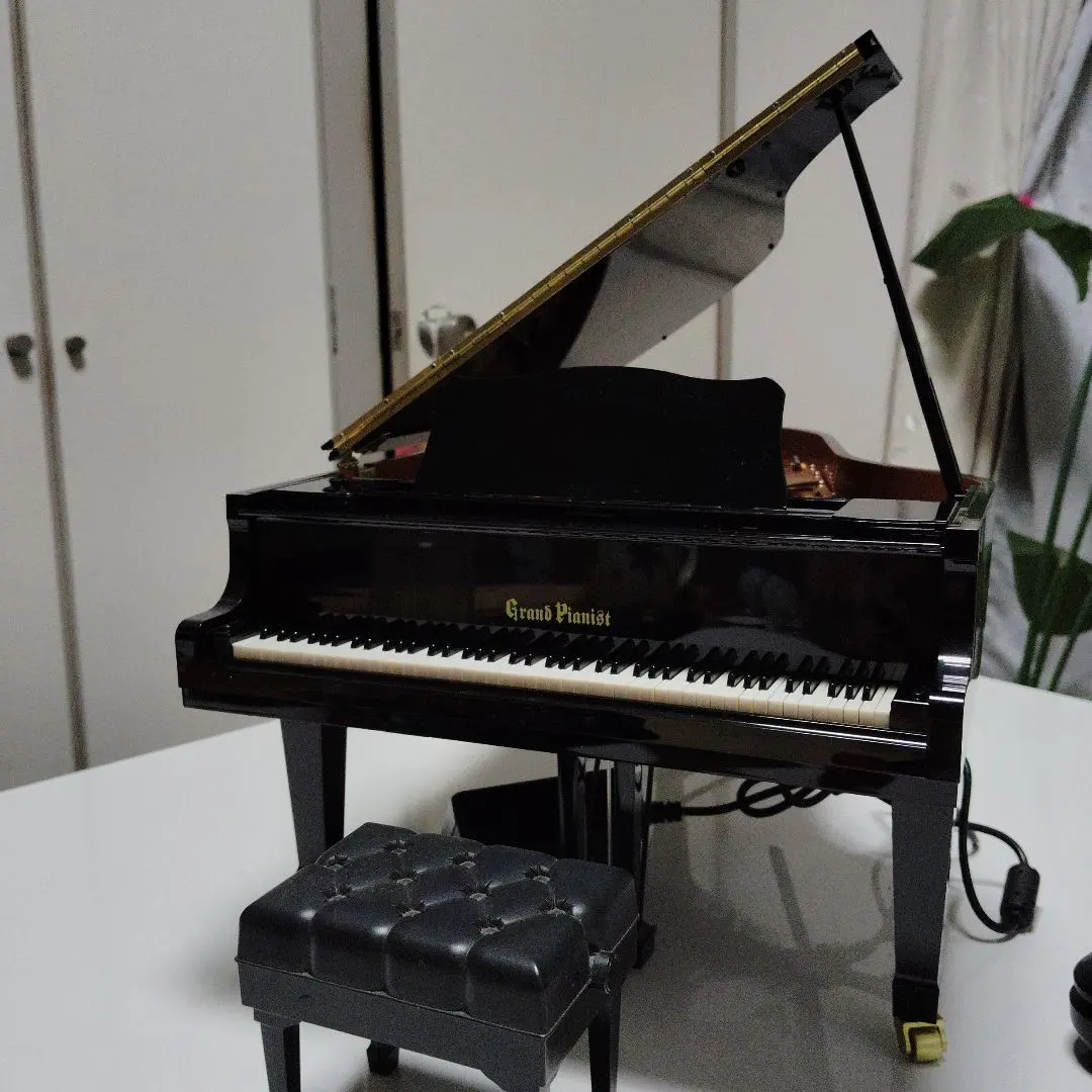 2026年最新】grand pianistの人気アイテム - メルカリ