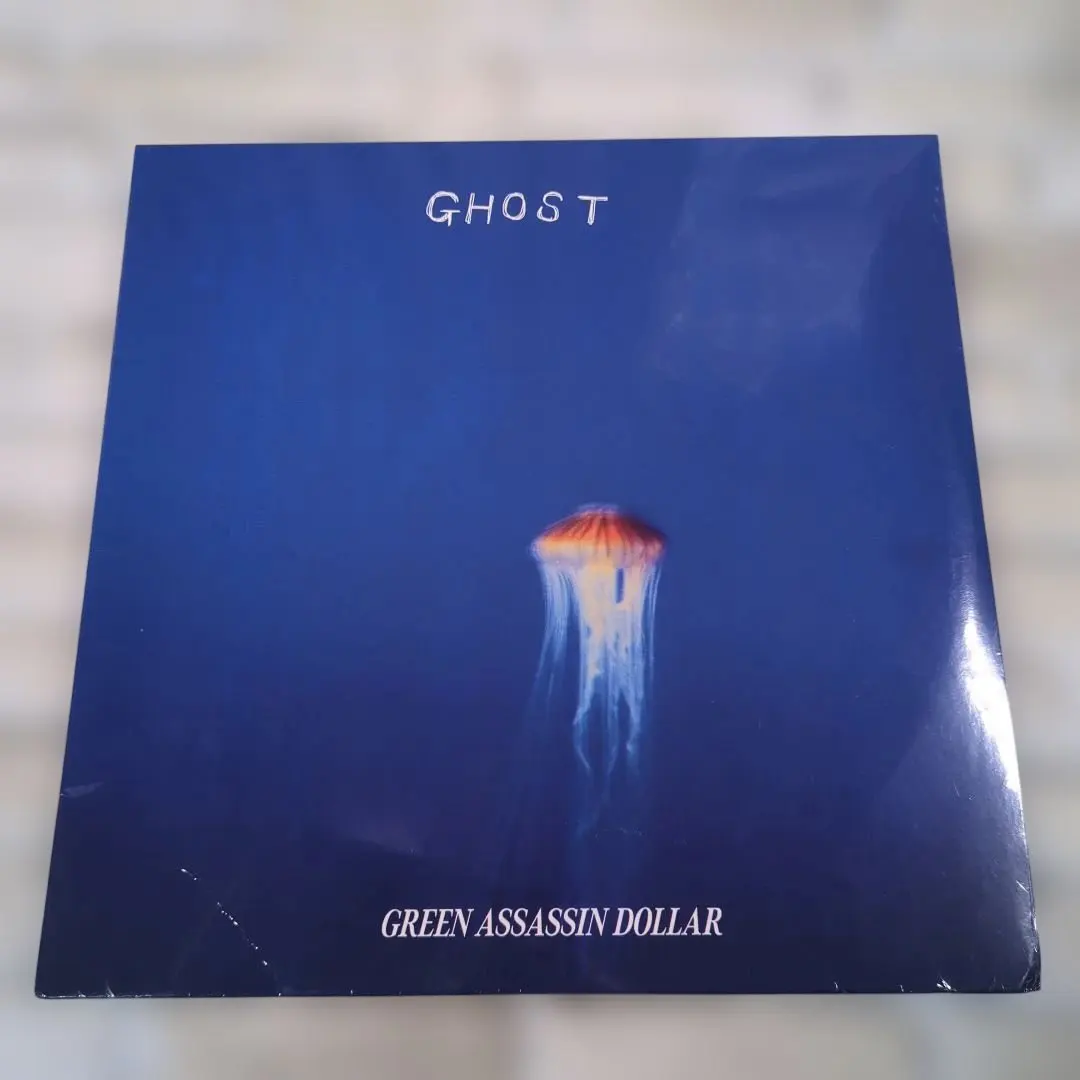2026年最新】green assassin dollar レコードの人気アイテム - メルカリ