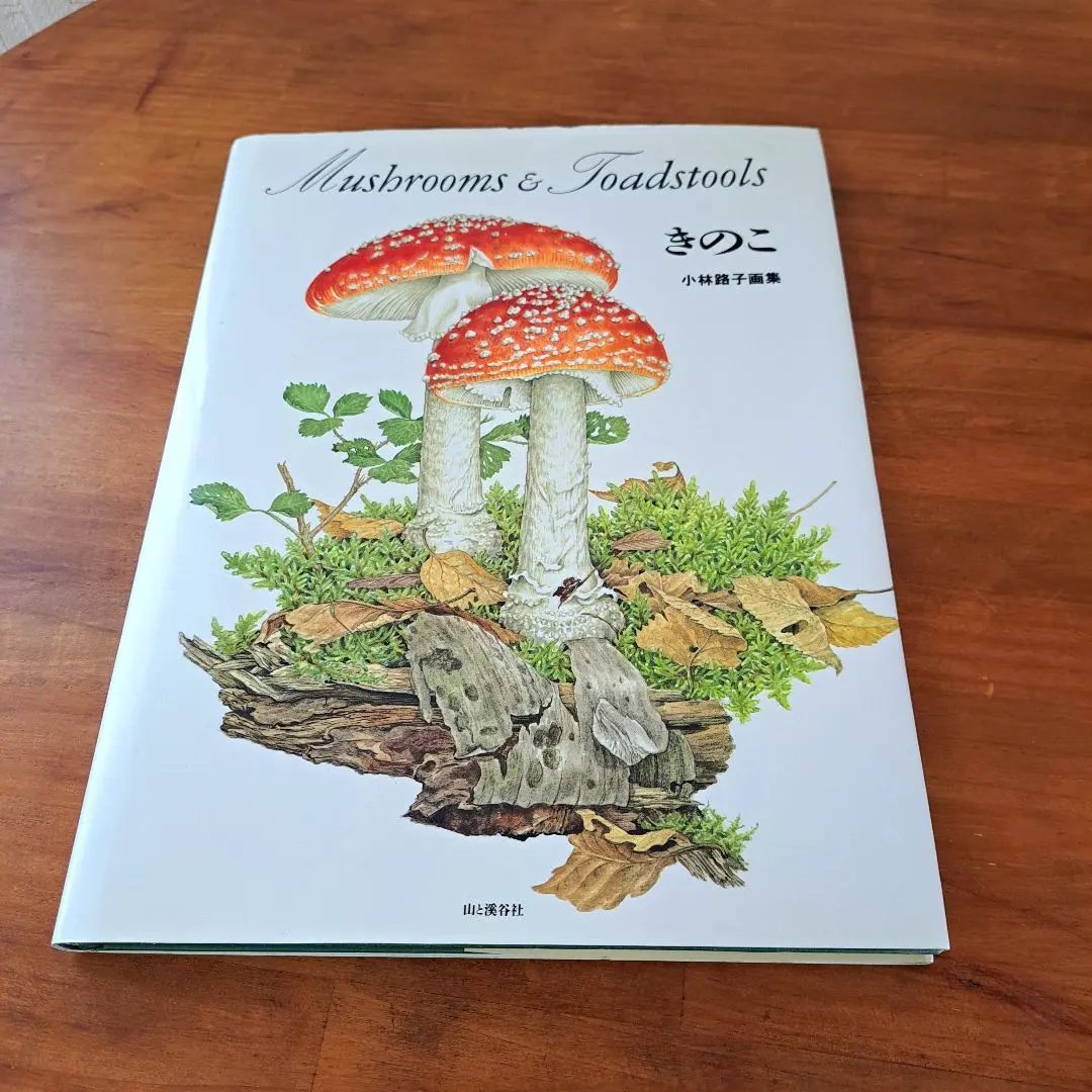 2026年最新】きのこ―小林路子画集の人気アイテム - メルカリ