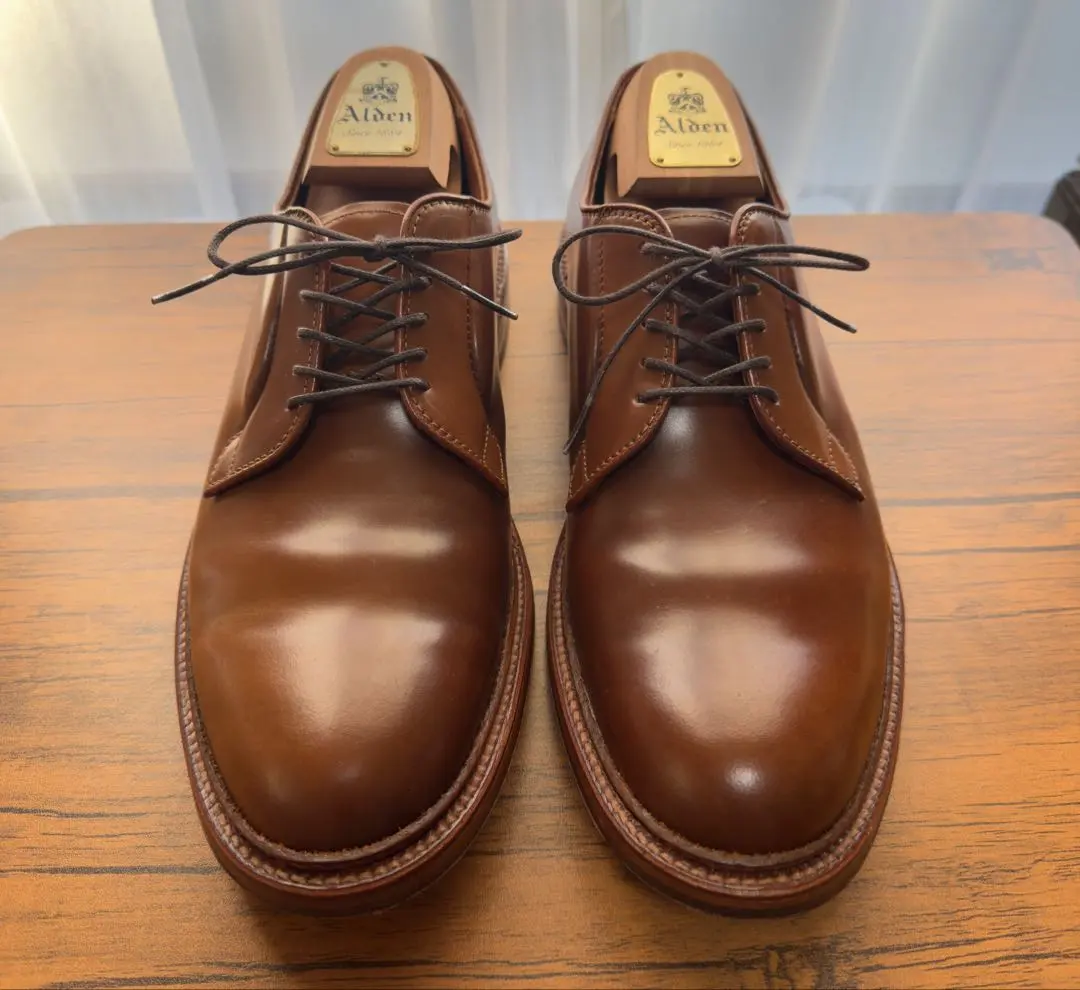 2026年最新】ALDEN 9905の人気アイテム - メルカリ