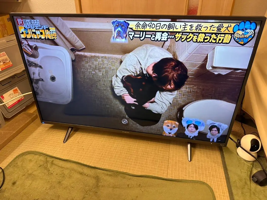 2026年最新】funai fire tv 43の人気アイテム - メルカリ