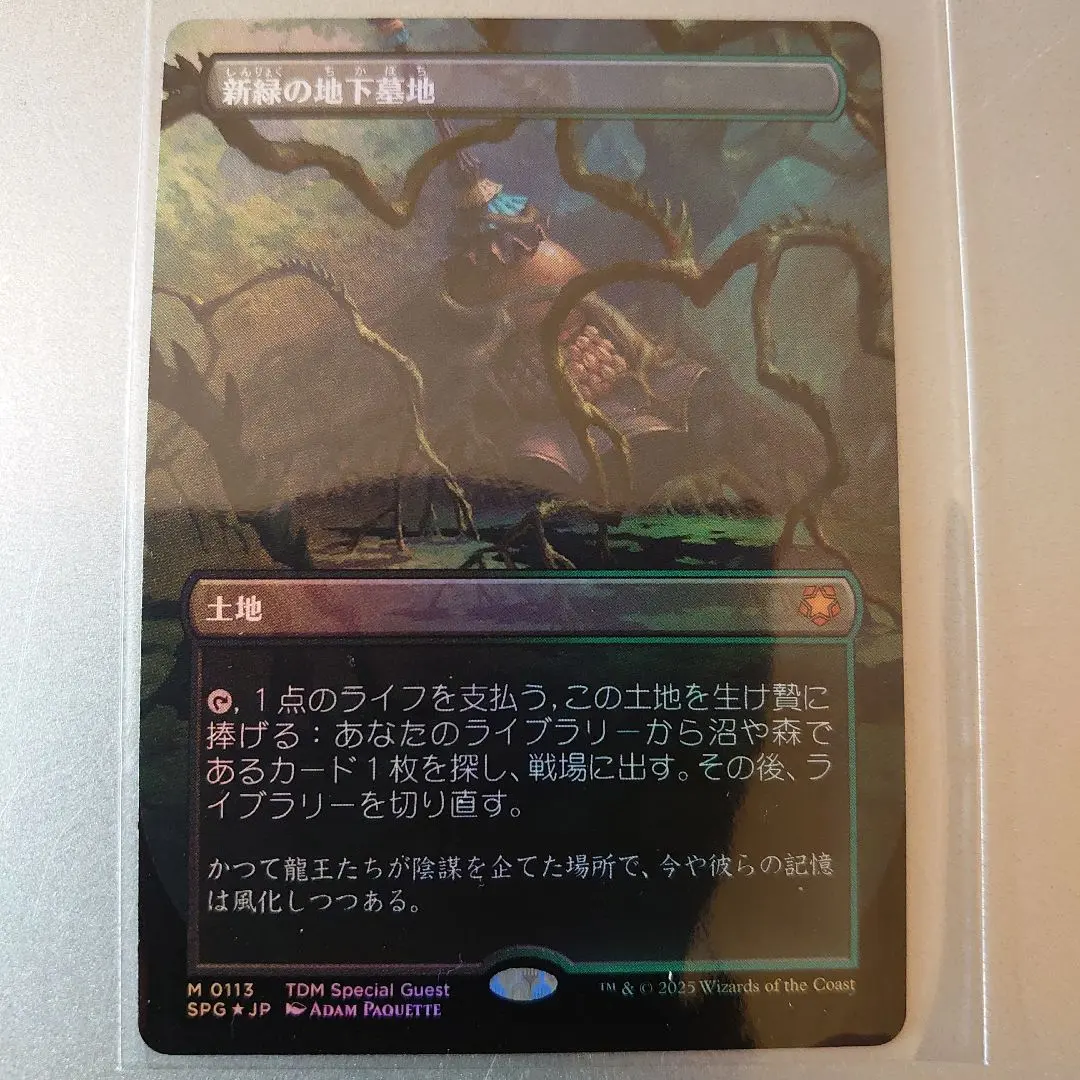 2026年最新】新緑の地下墓地 foilの人気アイテム - メルカリ