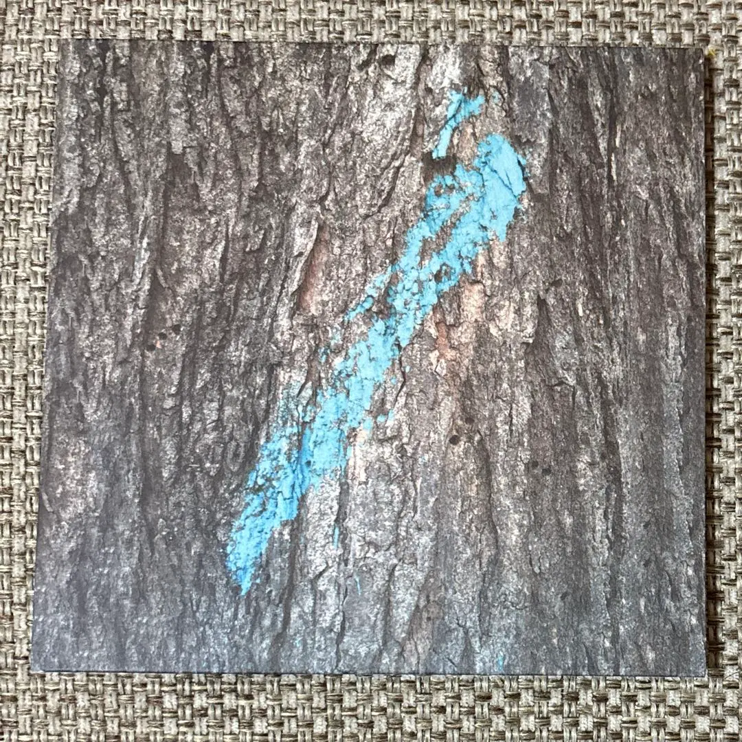 2026年最新】taylor deupreeの人気アイテム - メルカリ