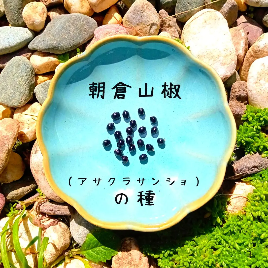 2026年最新】朝倉山椒の人気アイテム - メルカリ