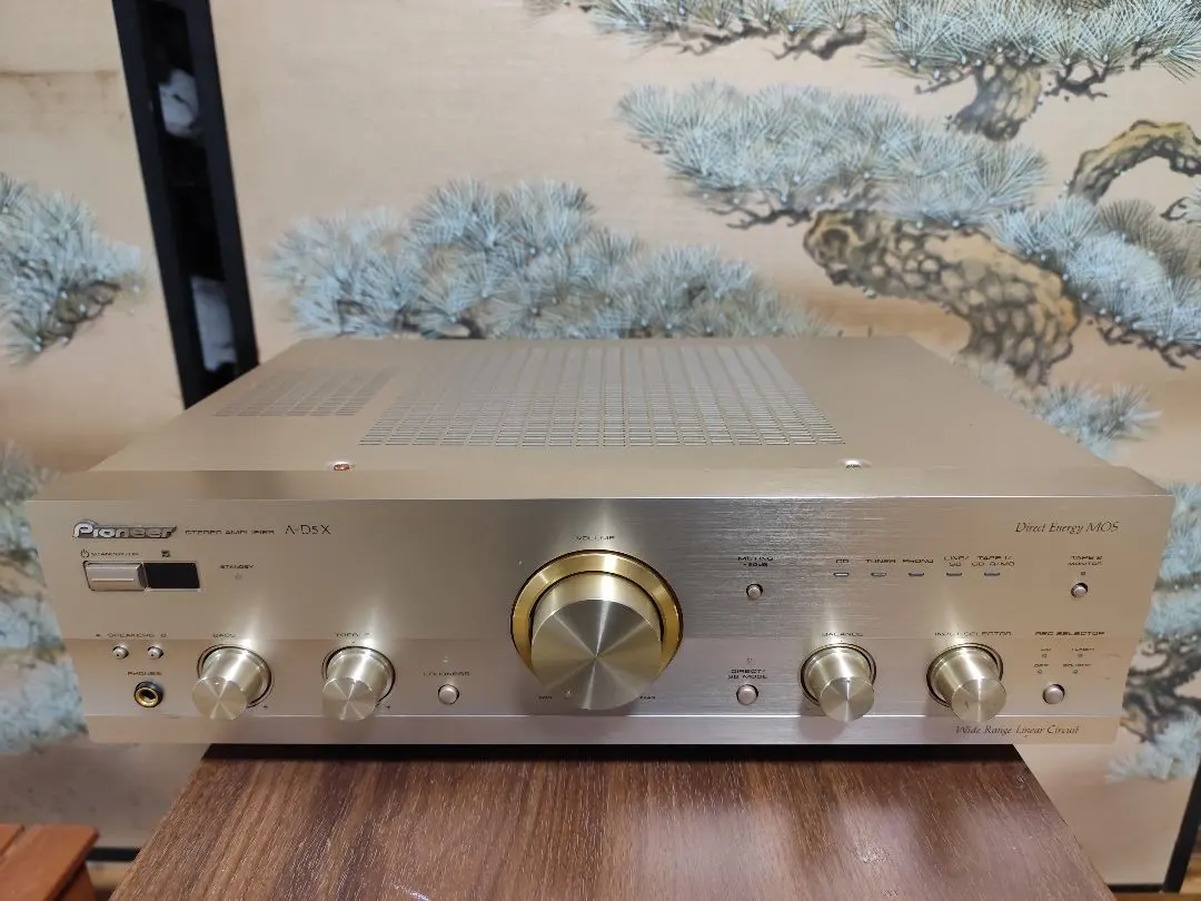 2026年最新】a-d5x pioneerの人気アイテム - メルカリ