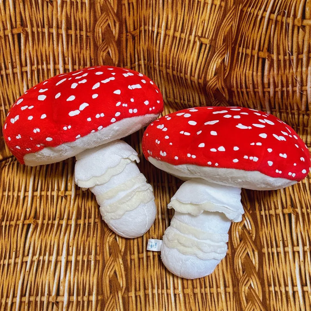 2026年最新】毒展 ベニテングタケの人気アイテム - メルカリ