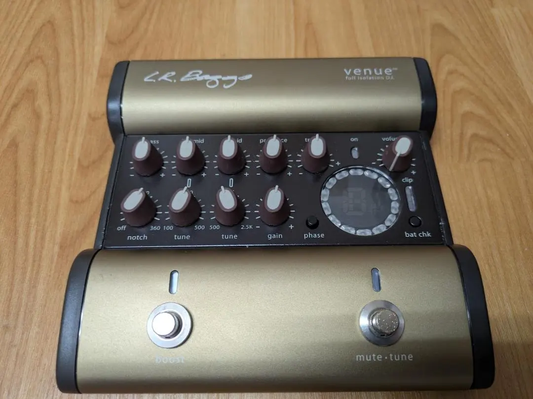2026年最新】L.R.Baggs Venue DIの人気アイテム - メルカリ