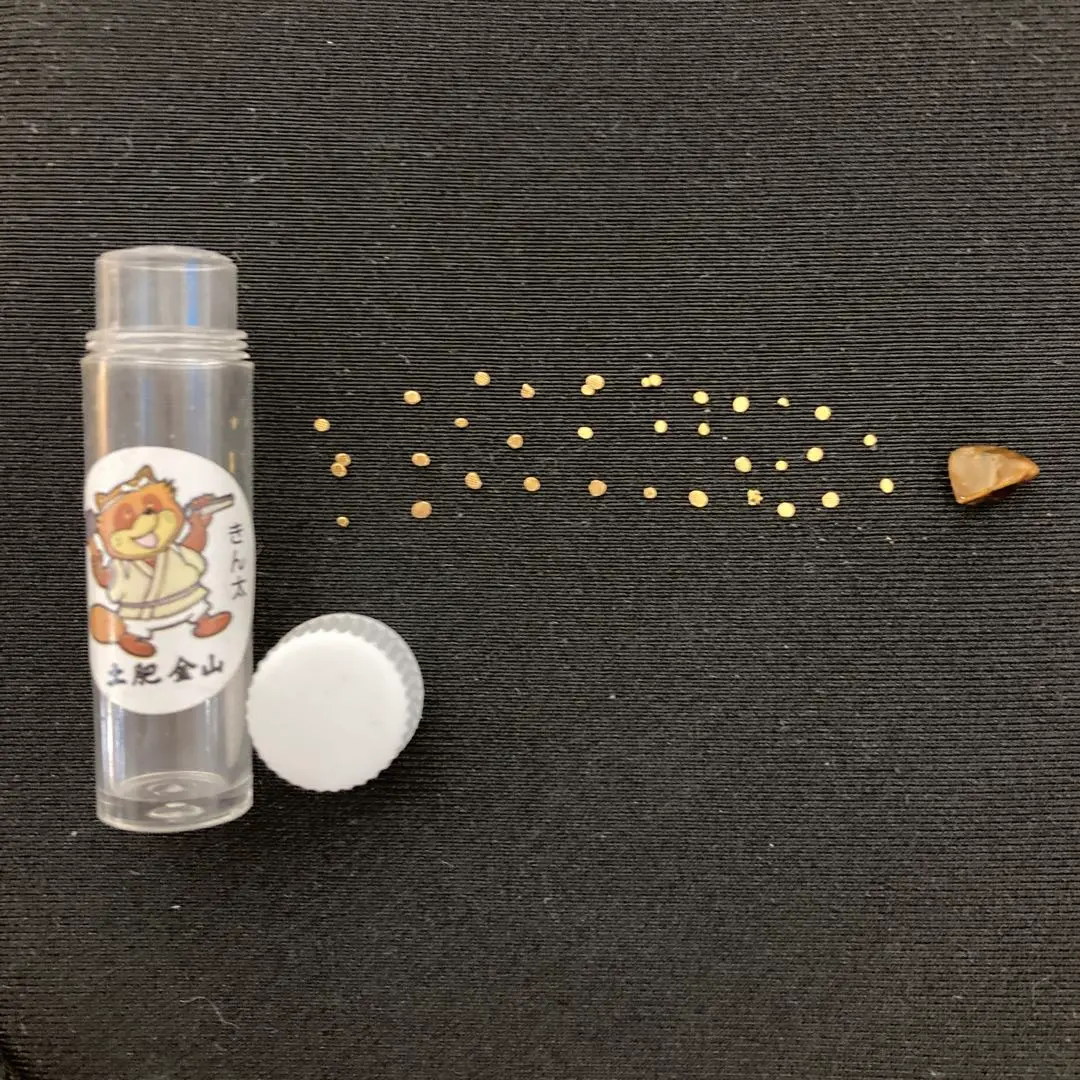 2026年最新】土肥金山 砂金の人気アイテム - メルカリ