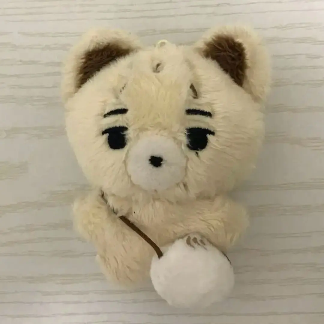 2026年最新】ニキ ぬいぐるみ enhypen マスターの人気アイテム - メルカリ