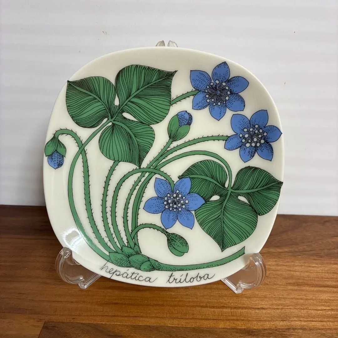 2026年最新】アラビア ボタニカの人気アイテム - メルカリ