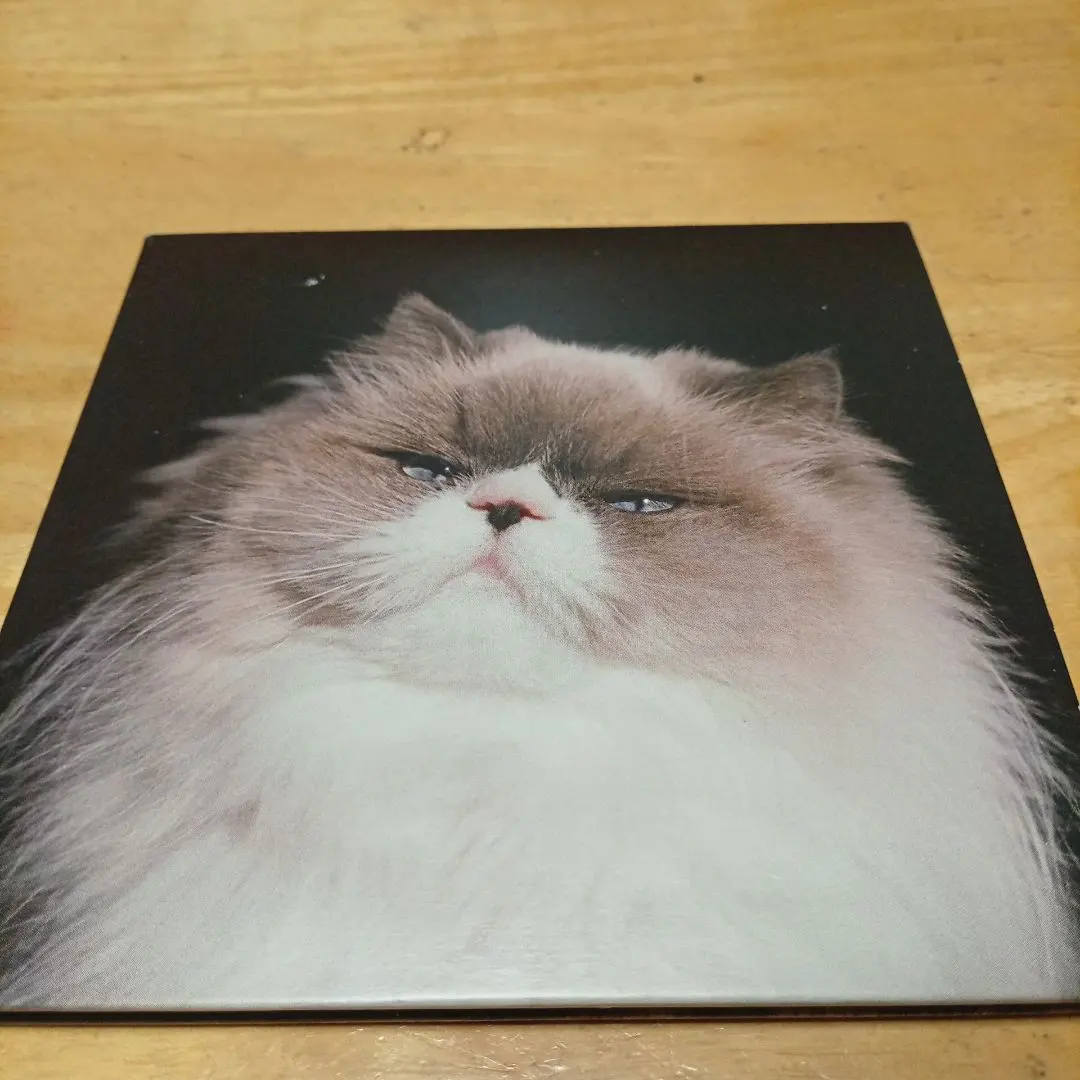 2026年最新】カネコアヤノ 野音 レコードの人気アイテム - メルカリ